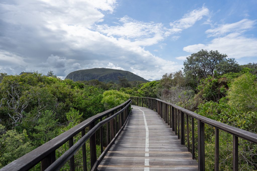 Looking up at Mount Coolum on the Sunshine Coast